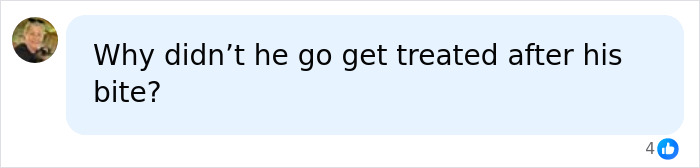 A comment asking why the 11-year-old Canadian boy did not get treated after the bat bite. A comment asking why the 11-year-old Canadian boy did not get treated after the bat bite.