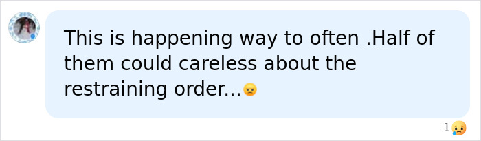 Influencer's 911 call: A social media comment discussing the frequency of such incidents and restraining orders.