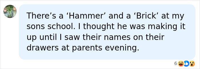 A teacher's comment about unusual names like 'Hammer' and 'Brick' for red flag students.
