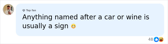 A social media comment humorously noting that names derived from cars or wine could indicate a red flag student.