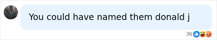 A social media comment suggesting Donald J as a name for JD Vance's child. Americans point out glaring irony. A social media comment suggesting Donald J as a name for JD Vance's child. Americans point out glaring irony.