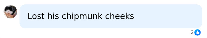A social media comment from a fan about a Hollywood star's unrecognizable new look, noting they lost their chipmunk cheeks. A social media comment from a fan about a Hollywood star's unrecognizable new look, noting they lost their chipmunk cheeks.