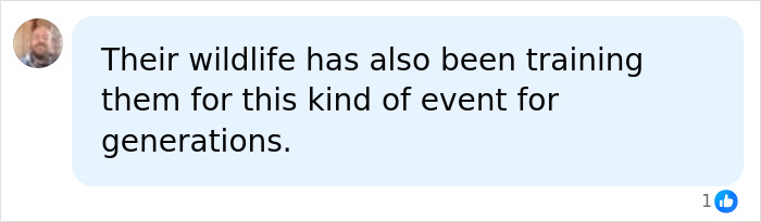 A social media comment speculating that wildlife has been training for generations for nuclear war.