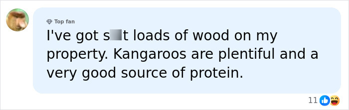 Screenshot of a comment mentioning wood and kangaroos for protein, hinting at survival in a nuclear war scenario.