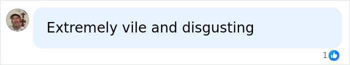 A social media comment describing Bonnie Blue's baby shower scandal as vile and disgusting. A social media comment describing Bonnie Blue's baby shower scandal as vile and disgusting.