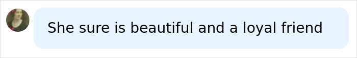 A chat message stating, She sure is beautiful and a loyal friend, referencing a fairytale wedding. A chat message stating, She sure is beautiful and a loyal friend, referencing a fairytale wedding.