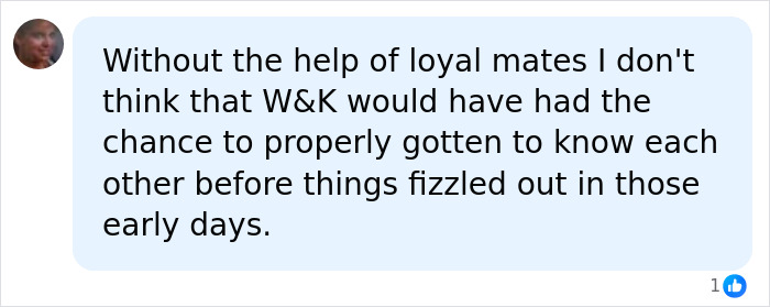 Screenshot of a social media comment discussing Prince William and Kate's early relationship and the help of loyal mates, relevant to the decoy girlfriend story. Screenshot of a social media comment discussing Prince William and Kate's early relationship and the help of loyal mates, relevant to the decoy girlfriend story.