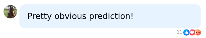 A social media comment from a user that says, Pretty obvious prediction! regarding the AI warning.