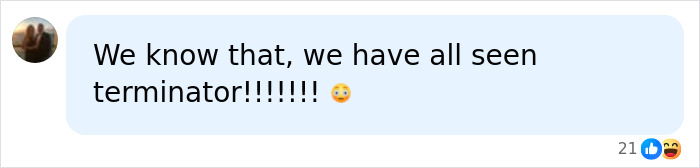 A social media comment stating 'We know that, we have all seen terminator!!!!!!!', indicating a common AI warning fear.