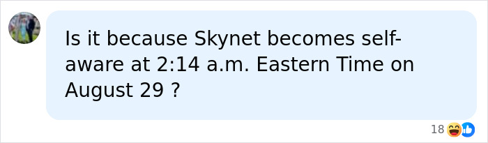 A social media comment asking if Skynet becomes self-aware at a specific time, relating to AI warning.