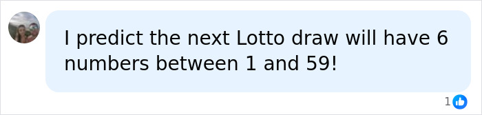 A social media comment from a user that says, I predict the next Lotto draw will have 6 numbers between 1 and 59! about the AI warning.