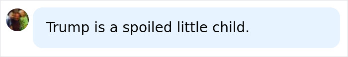 A social media comment stating Trump is a spoiled little child, referencing his NATO family photo snub. A social media comment stating Trump is a spoiled little child, referencing his NATO family photo snub.