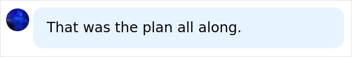 A social media comment stating That was the plan all along, in connection to the Canadian woman accused of slapping a teen. A social media comment stating That was the plan all along, in connection to the Canadian woman accused of slapping a teen.