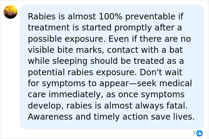 A comment explaining that rabies is preventable if treatment is started promptly, especially after contact with a bat. A comment explaining that rabies is preventable if treatment is started promptly, especially after contact with a bat.