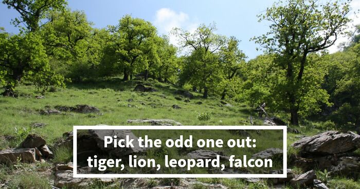 If You Can Pick The Odd-One-Out In These 23 General Knowledge Challenges, You Have A Detective Eye