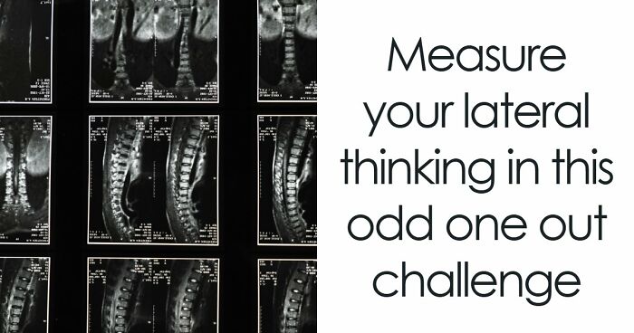 If You Can Pick The Odd-One-Out In These 23 General Knowledge Challenges, You Have A Detective Eye