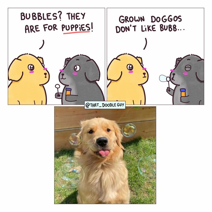 This Artist Turns Everyday Animal Moments Into Wholesome Comics That Are Impossible Not To Smile At (20 New Pics)