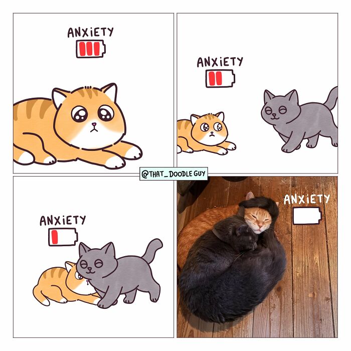 This Artist Turns Everyday Animal Moments Into Wholesome Comics That Are Impossible Not To Smile At (20 New Pics)