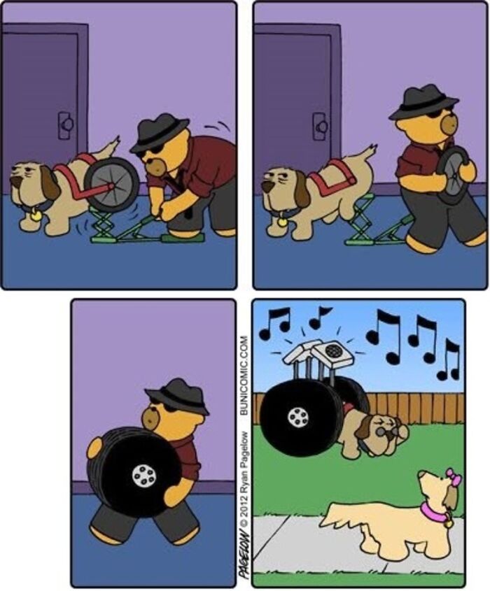 This Grumpy Dog In A Wheelchair Quietly Became One Of The Best Characters In Ryan Pagelow’s Buni Comics (34 Pics)