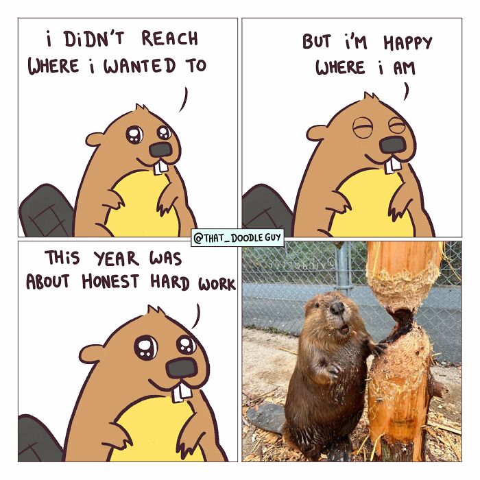 This Artist Turns Everyday Animal Moments Into Wholesome Comics That Are Impossible Not To Smile At (20 New Pics)