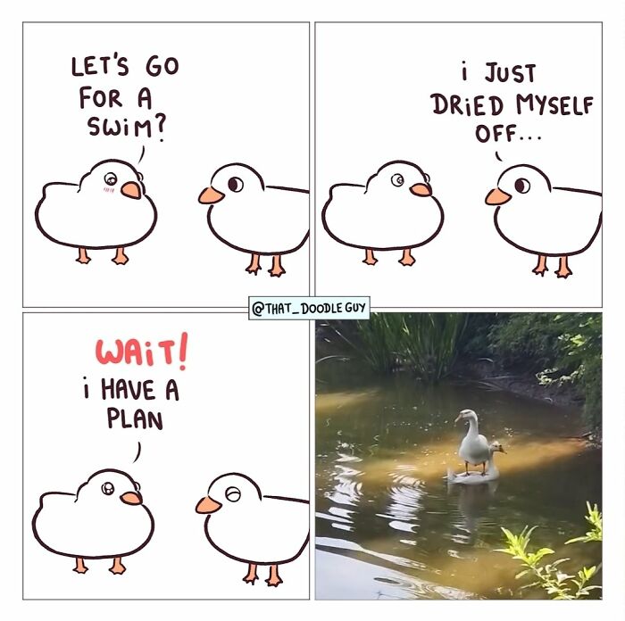 This Artist Turns Everyday Animal Moments Into Wholesome Comics That Are Impossible Not To Smile At (20 New Pics)