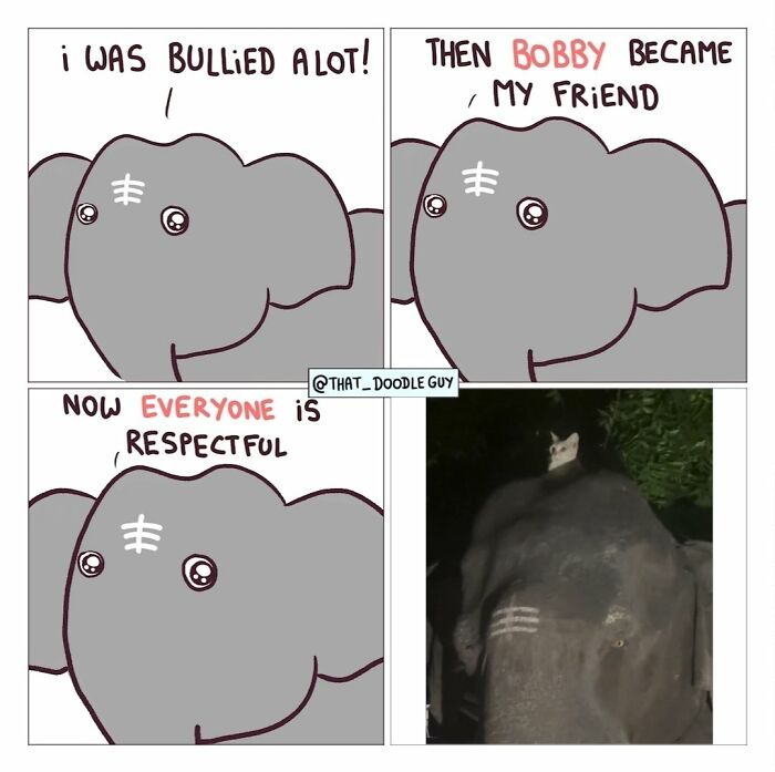 This Artist Turns Everyday Animal Moments Into Wholesome Comics That Are Impossible Not To Smile At (20 New Pics)