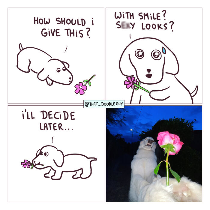 This Artist Turns Everyday Animal Moments Into Wholesome Comics That Are Impossible Not To Smile At (20 New Pics)