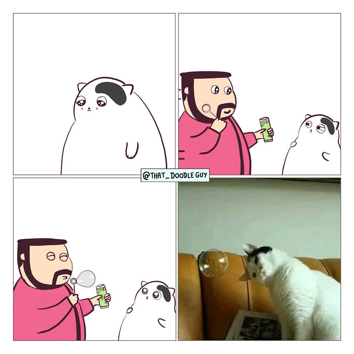 This Artist Turns Everyday Animal Moments Into Wholesome Comics That Are Impossible Not To Smile At (20 New Pics)