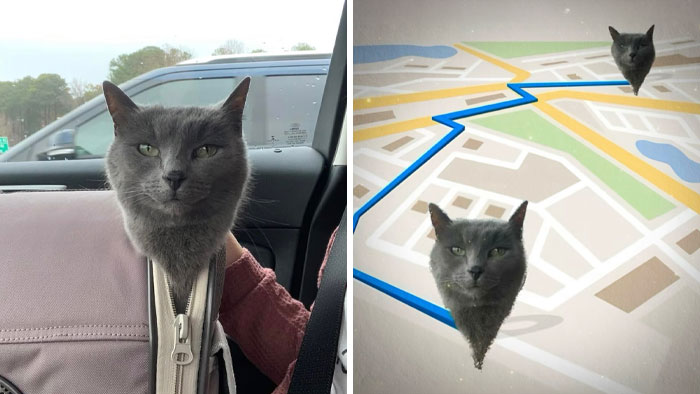 If You Need A Quick Laugh Today, These 66 Random Memes Are Exactly What You Should See