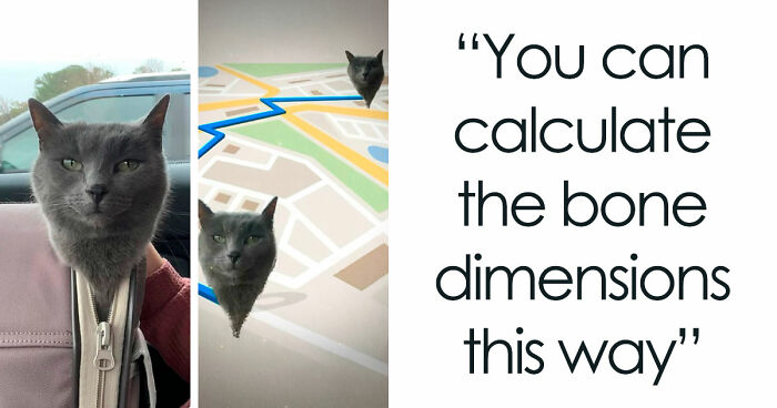 If You Need A Quick Laugh Today, These 66 Random Memes Are Exactly What You Should See