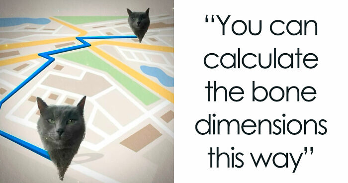 If You Need A Quick Laugh Today, These 66 Random Memes Are Exactly What You Should See