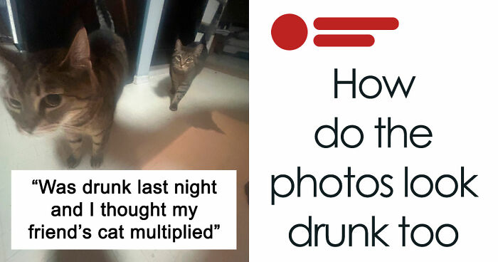 If You Need A Quick Laugh Today, These 66 Random Memes Are Exactly What You Should See