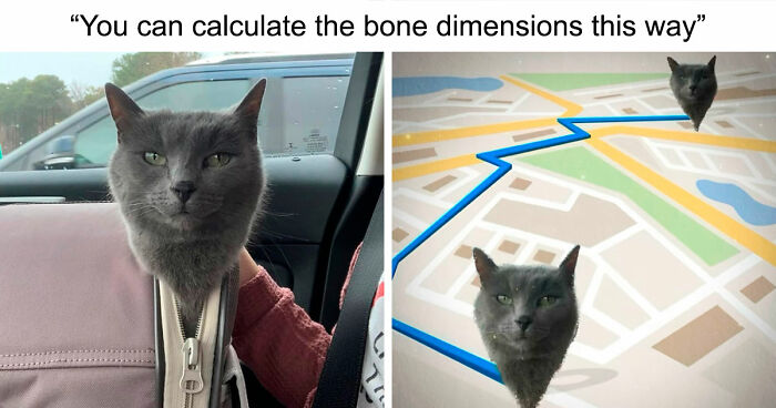 If You Need A Quick Laugh Today, These 66 Random Memes Are Exactly What You Should See