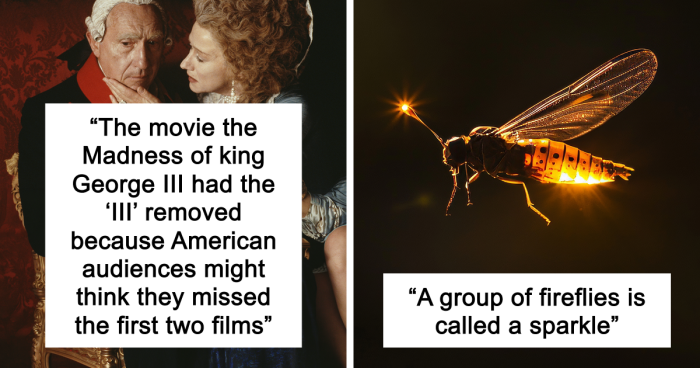 65 Weirdly Interesting Facts People Somehow Have Stored In Their Brains