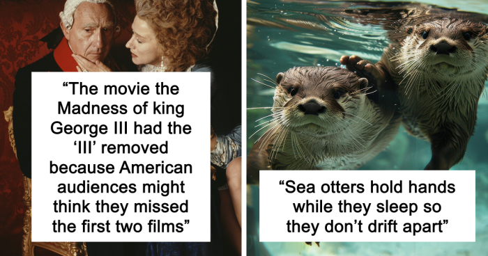 65 Weirdly Interesting Facts People Somehow Have Stored In Their Brains