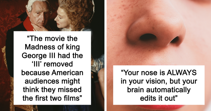 65 Weirdly Interesting Facts People Somehow Have Stored In Their Brains