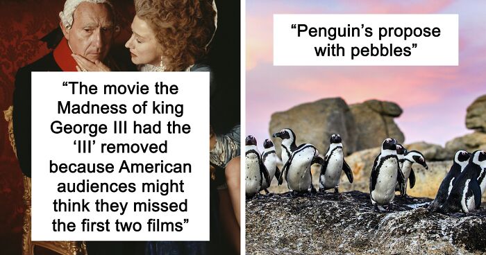 65 Random Things People Learned That Somehow Became Their Favorite Facts