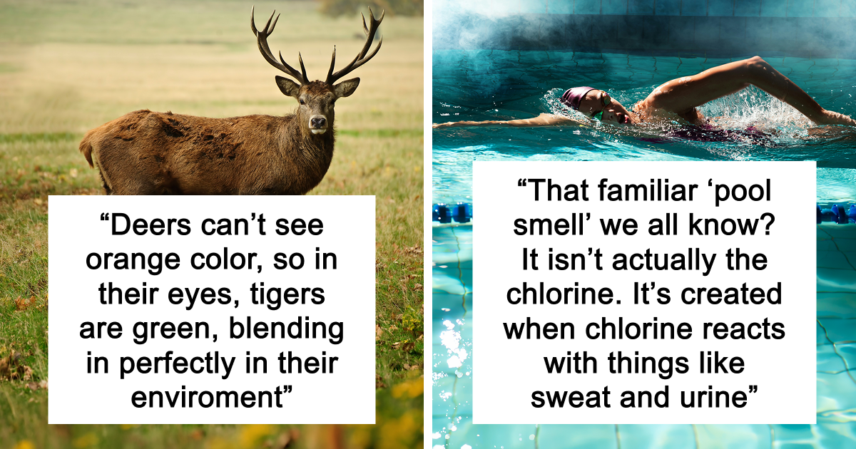 65 Weirdly Interesting Facts People Somehow Have Stored In Their Brains