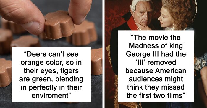 65 Weirdly Interesting Facts People Somehow Have Stored In Their Brains