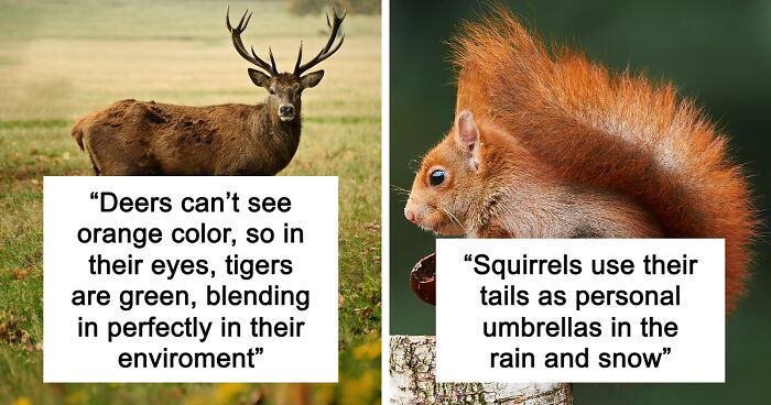65 Weirdly Interesting Facts People Somehow Have Stored In Their Brains