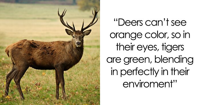 65 Weirdly Interesting Facts People Somehow Have Stored In Their Brains