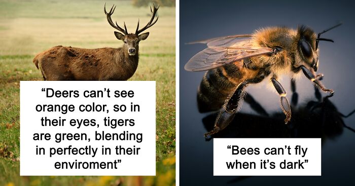 65 Weirdly Interesting Facts People Somehow Have Stored In Their Brains
