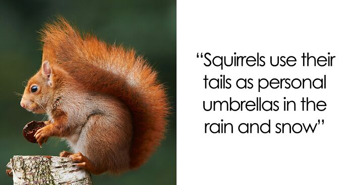 65 Weirdly Interesting Facts People Somehow Have Stored In Their Brains
