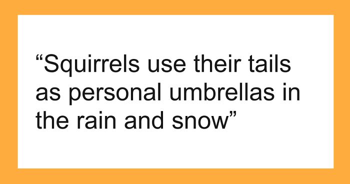 65 Weirdly Interesting Facts People Somehow Have Stored In Their Brains