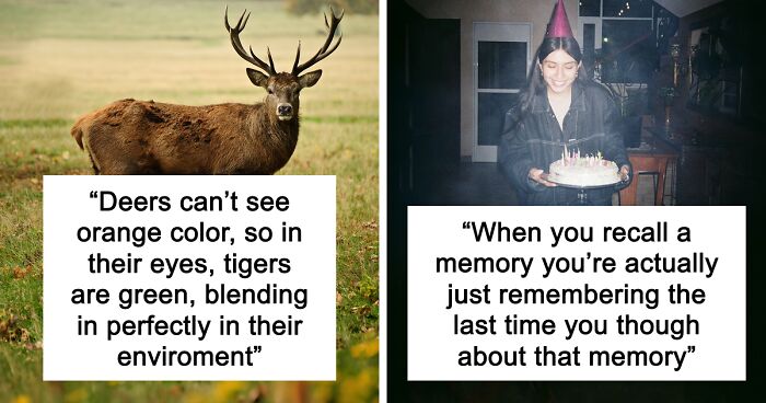 65 Weirdly Interesting Facts People Somehow Have Stored In Their Brains