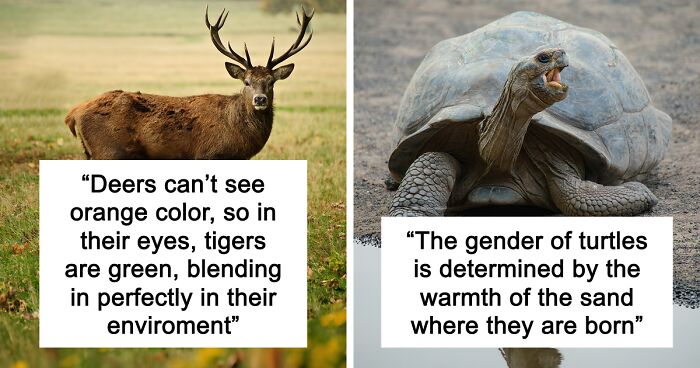 65 Weirdly Interesting Facts People Somehow Have Stored In Their Brains
