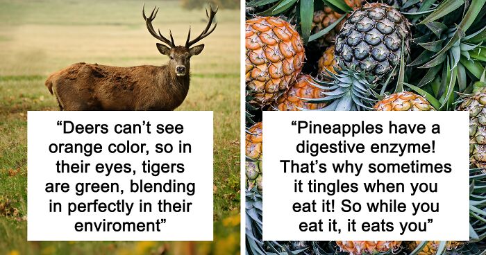 65 Weirdly Interesting Facts People Somehow Have Stored In Their Brains
