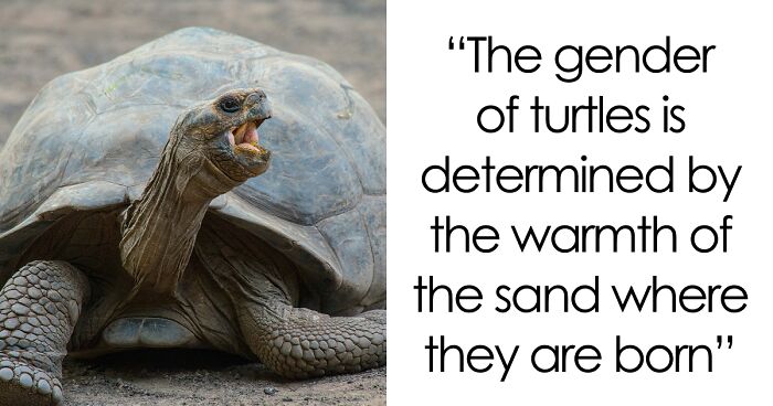 65 Weirdly Interesting Facts People Somehow Have Stored In Their Brains