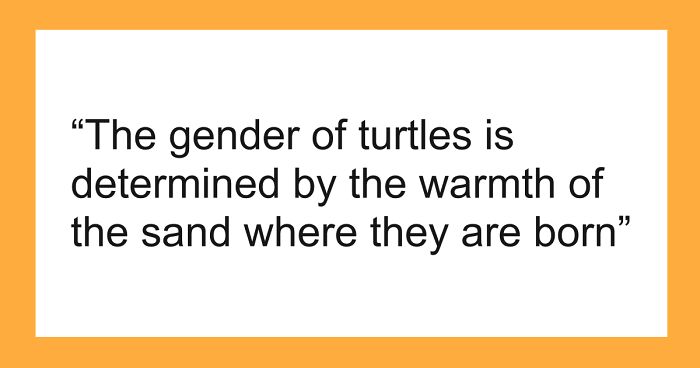 65 Weirdly Interesting Facts People Somehow Have Stored In Their Brains