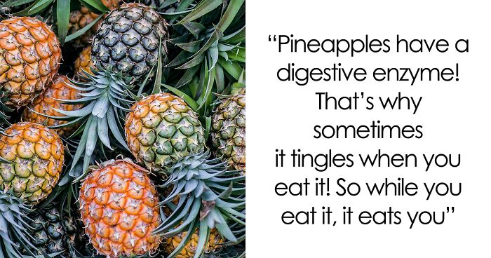 65 Weirdly Interesting Facts People Somehow Have Stored In Their Brains